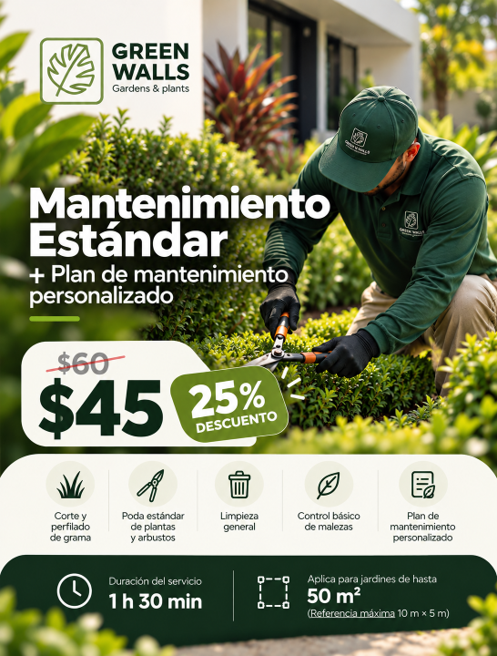 Mantenimiento Estándar + Plan de Mantenimiento Personalizado